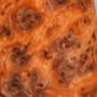 Sugi Cedar Burl