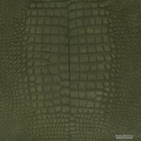 Close-up of alligator leather