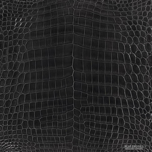 Close-up of crocodile leather