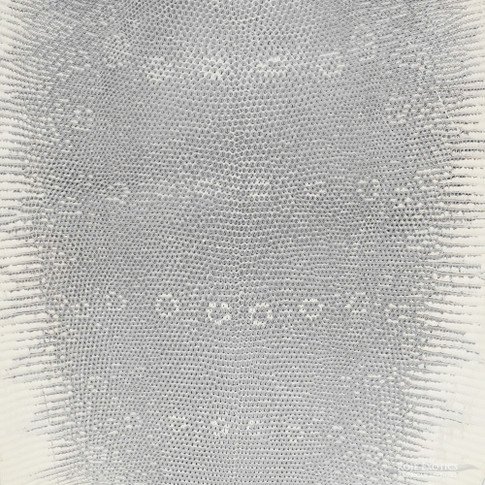 Close-up of lizard leather