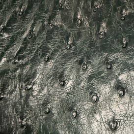 Close-up of ostrich leather